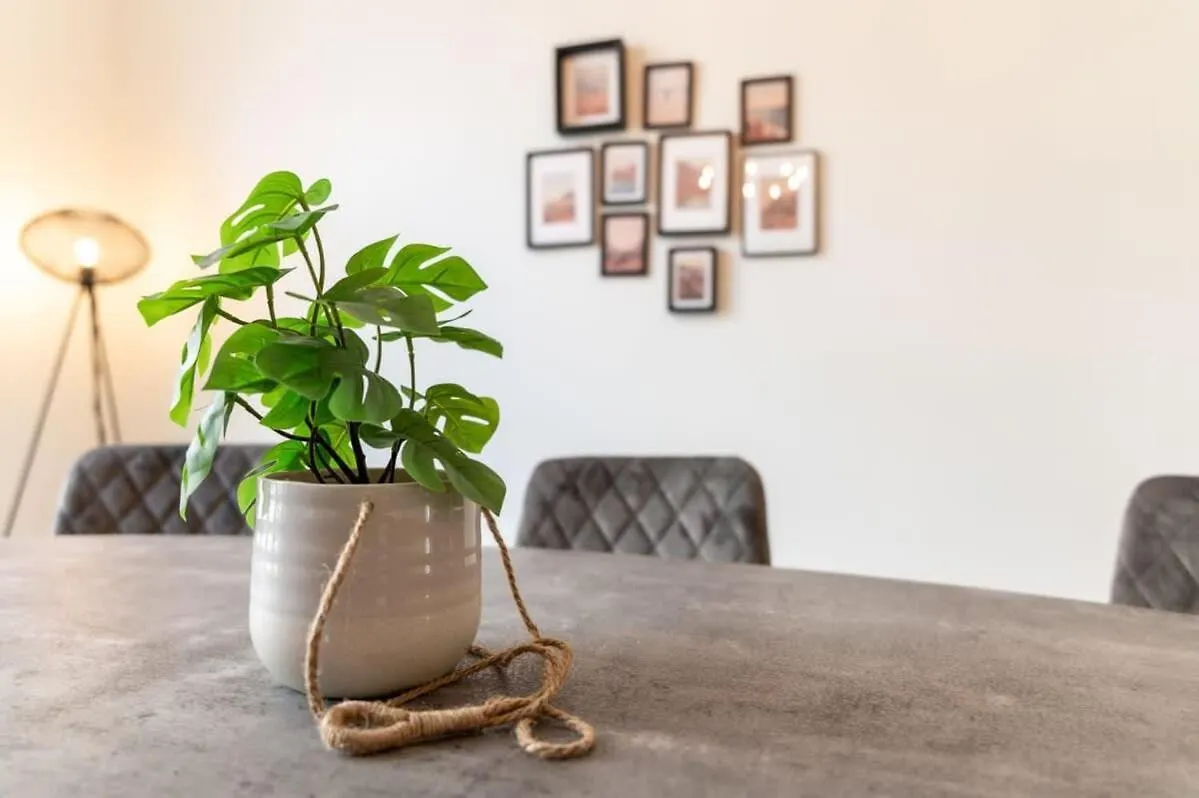 Beautiful Renovated Apartment In An Authentic Building Ostend Belgium